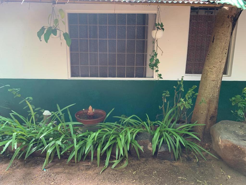 Discovery Guest House Auroville Exterior photo