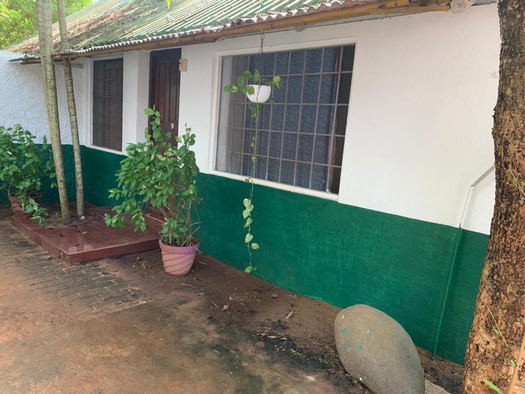 Discovery Guest House Auroville Exterior photo